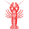 lobster