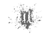 ski