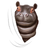 Cadeau d'amant hippopotame hippopotame