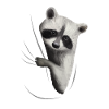 Raccoon Raccoon Raccoon Lover Gift