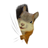 Squirrel Squirrel Lover