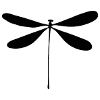dragon-fly