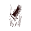 crane