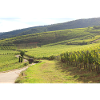 Vignobles vignobles viticulture France