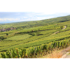 Affiche vignobles vignobles Alsace France