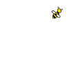 Abeille apiculteur