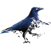 Krähe