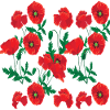 Flowers Poppy shrub Corn poppy flower shrub