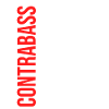 Double bass musician