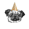 Carlin chapeau d'anniversaire cadeau d'anniversaire