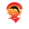 Dolphin dolphin dolphin sunset romance