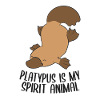 Platypus Is My Spirit Animal Cute Platypus