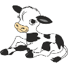 Black, White Calf, Calf