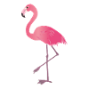 Pink Flamingo