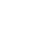 Hawk in flight