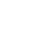 Elegant butterfly