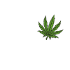 THC instead of AFD