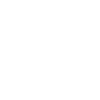 Cruise ship