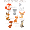 Renards du monde