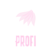 Ballet Professionnel Motif