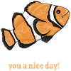 Clownfish clownfish cute fish illustration