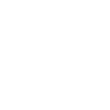 Cats Evolution