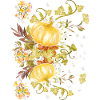 Pumpkins - autumn