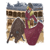 BullFighter Matador
