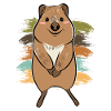 Quokka mignon marsupial