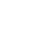 dog and cat
