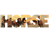 horses sunset