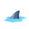Shark fin puddle