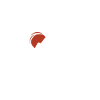 Helicopter