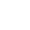 big brother