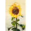 Tournesol à l'aquarelle