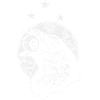 Black Raven