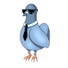 Bird with sunglasses