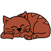 Red sleeping cat