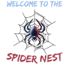 Spider in the spider web