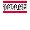 Pologne Drapeau Polonais Varsovie Pole