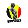 Brussels Belgium flag