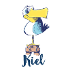 Cheeky keel gull
