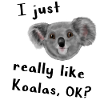 Koala - J'aime vraiment les koalas