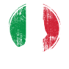 Italy Italians hand gesture Italian flag