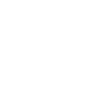 Officier / Grade Militaire / Armée