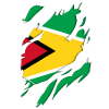 Guyana flag torn motif