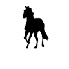 Horse in black