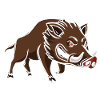 Angry Wild Boar Cartoon Print