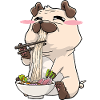 Pug eats ramen