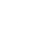 Surfer Surfing